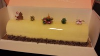 /album/galerie-photos/buche-ananas-3-jpg1/